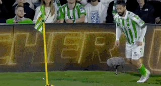 1740861954927024504.gif Mar-02-2025 04-36-06.gif